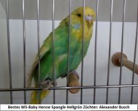 19. WS-Zuechtertreffen 004.JPG